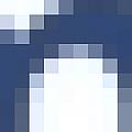 Sales and Information - Fine Artist